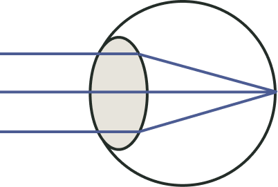 schéma de la vision
